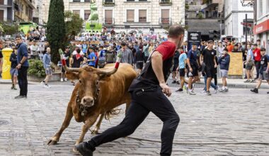 La ganadería Saka vencedora del concurso de sokamuturra de Elgoibar