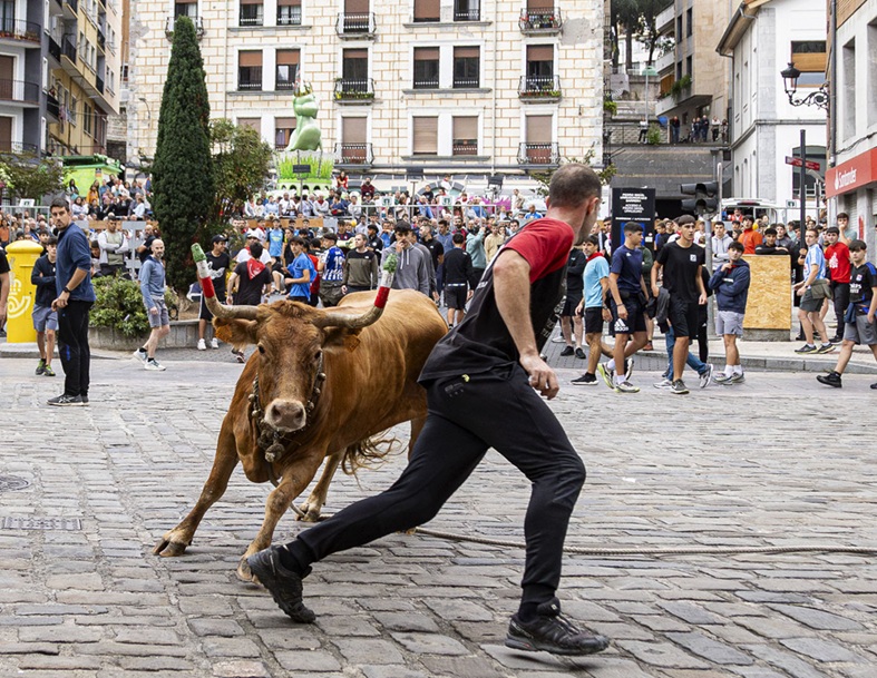 La ganadería Saka vencedora del concurso de sokamuturra de Elgoibar