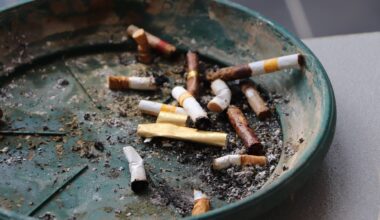 El tabaco es el principal factor de riesgo evitable ante el cáncer