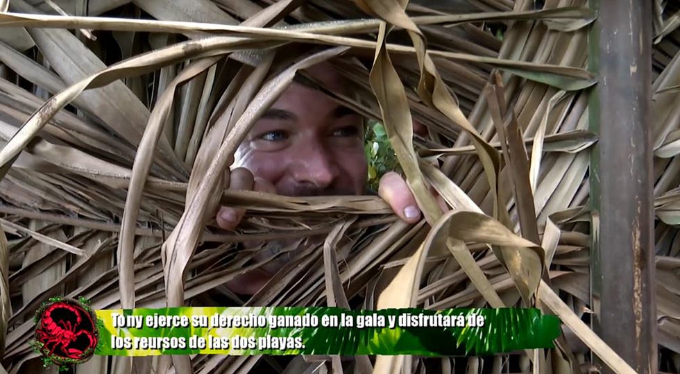 tony spina se acerca a playa caos