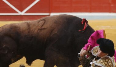 El novillero portuense Gonzalo Capdevilla sufre una triple herida por asta de toro