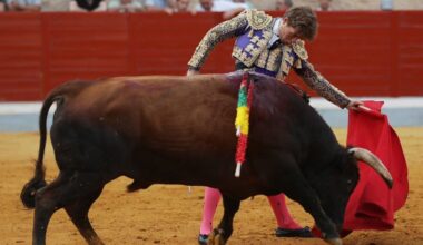 Baltasar Ibán imparte cátedra y Álvaro Serrano aplica la lección