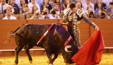 Un derroche de talento