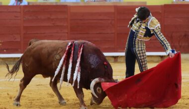 Triunfo de Castella que contó con un noble y dócil lote al que cortó tres orejas