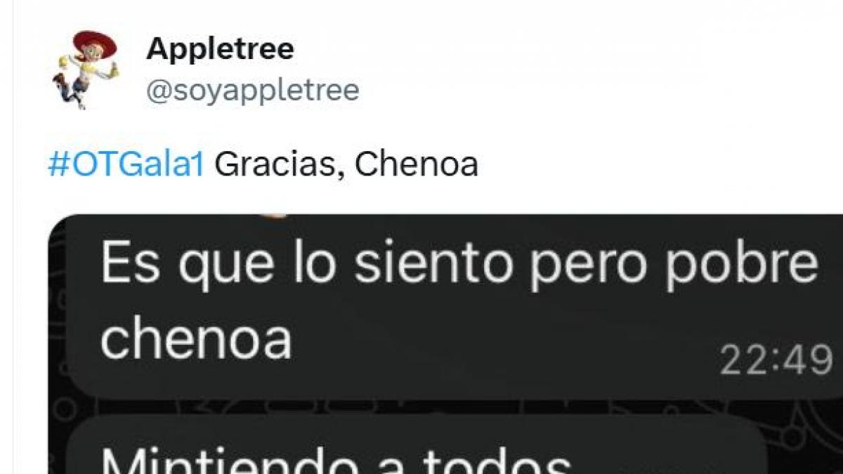 Este chat sobre la primera gala de OT arrasa por su inesperada mención a David Bisbal