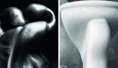 Edward Weston, el fotógrafo que capturó la sensualidad en un pimiento y en un váter