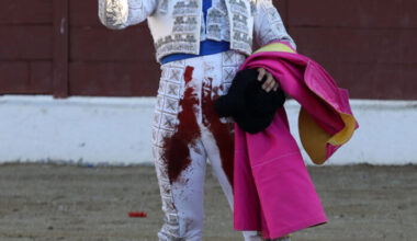 Importante tarde de Álvaro Serrano cortando la única oreja de la tarde en Guadarrama