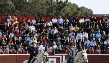 Tarde sin espadas con Cuadris en Guadarrama
