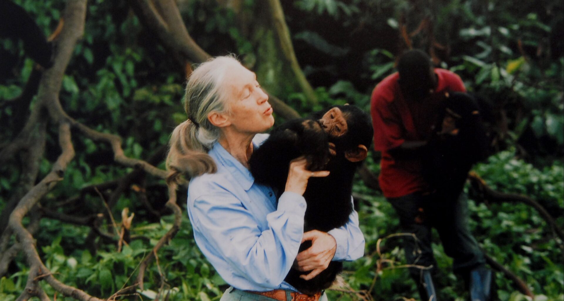 Jane Goodall nos enseñó a mirar a los chimpancés como a nosotros mismos
