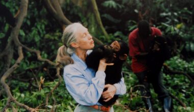 Jane Goodall nos enseñó a mirar a los chimpancés como a nosotros mismos