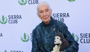 Muere la primatóloga y activista Jane Goodall a los 91 años