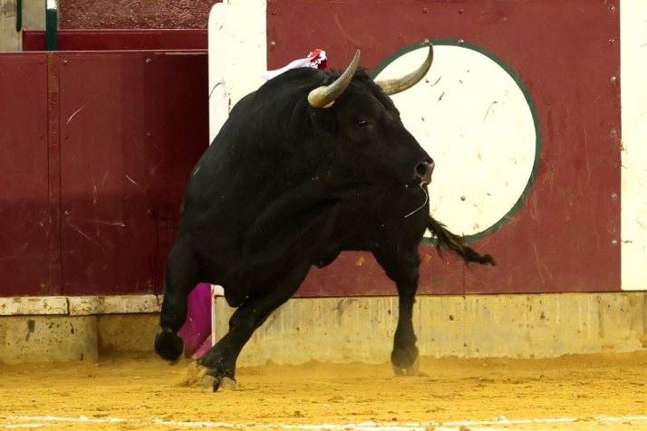 Javier Castaño, un adiós en 10 imágenes | Imagen 5