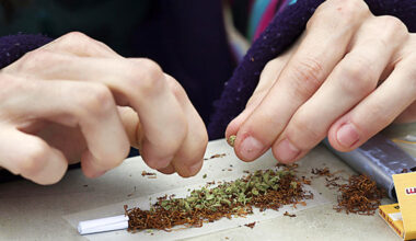 Un picoteo de marihuana que puede acabar muy mal