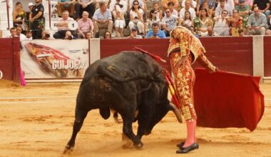 La Juventud Taurina de Salamanca reconoce Javier Castaño con el trofeo 'Valores del Toreo' en la feria 2025
