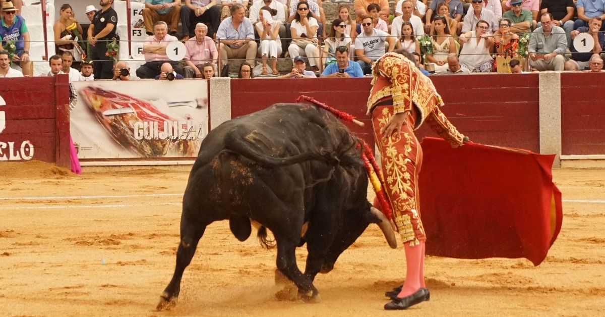 La Juventud Taurina de Salamanca reconoce Javier Castaño con el trofeo 'Valores del Toreo' en la feria 2025