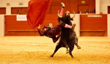 David de Miranda pone fin a la temporada europea.