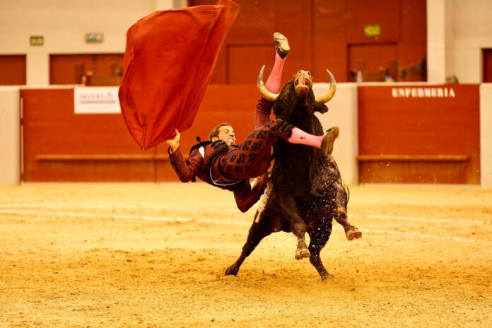 David de Miranda pone fin a la temporada europea.