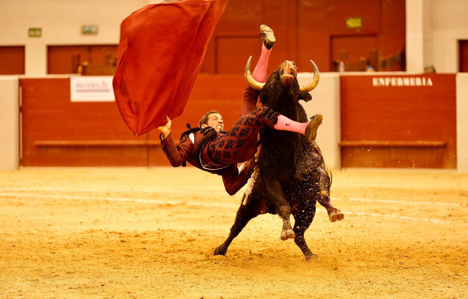 David de Miranda no podrá torear en Vila Franca de Xira hoy domingo tras la cogida de ayer en Las Rozas