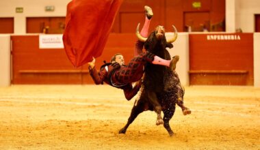 David de Miranda no podrá torear en Vila Franca de Xira hoy domingo tras la cogida de ayer en Las Rozas