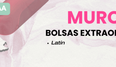 Murcia. Bolsa de trabajo: latín. - CSIF