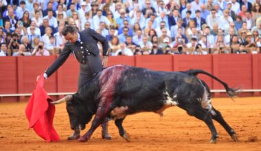 El Cid se recupera de una cornada interna en el muslo derecho