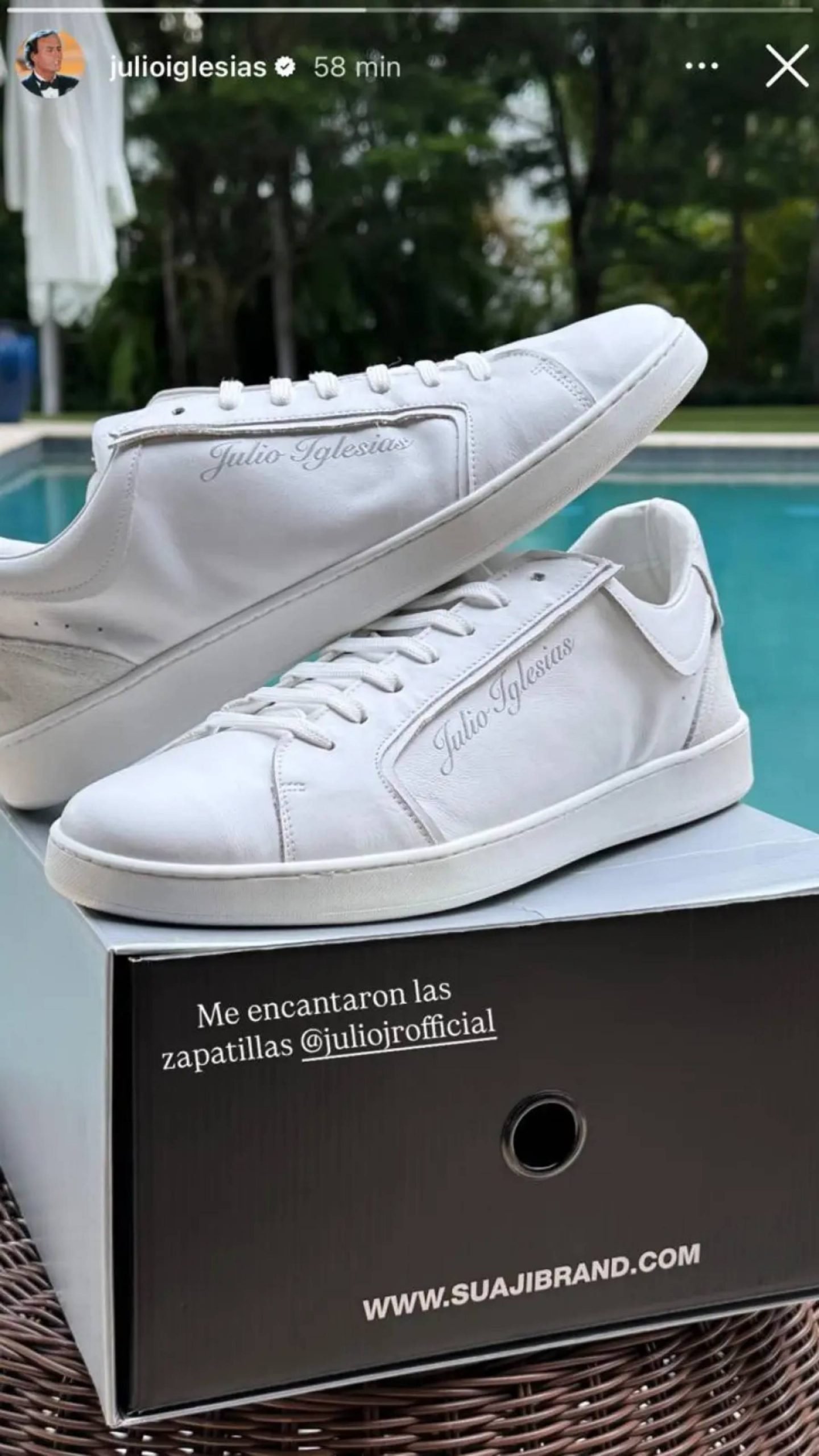 Stories de Instagram de Julio Iglesias. (Foto: RRSS)