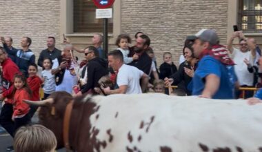"Lo que sienten delante de un animal no se vive con nada más"