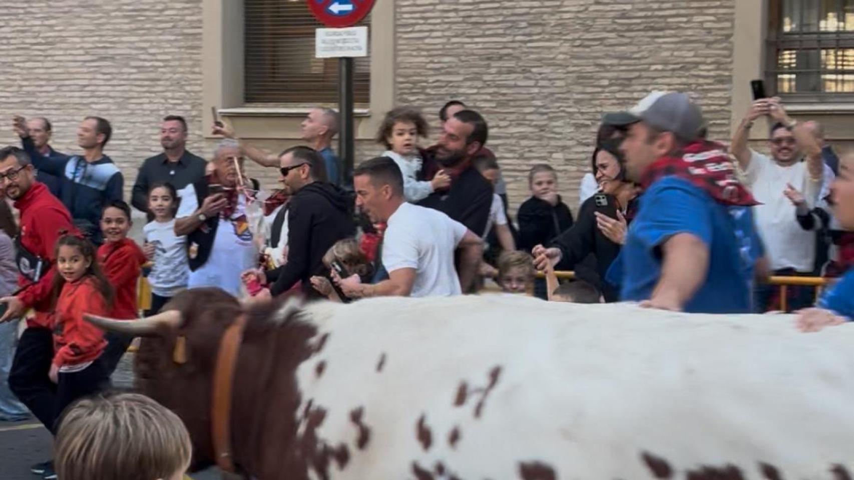 "Lo que sienten delante de un animal no se vive con nada más"