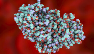 ¿Toxinas por encargo? Parece descabellado, y sin embargo... - naiz: