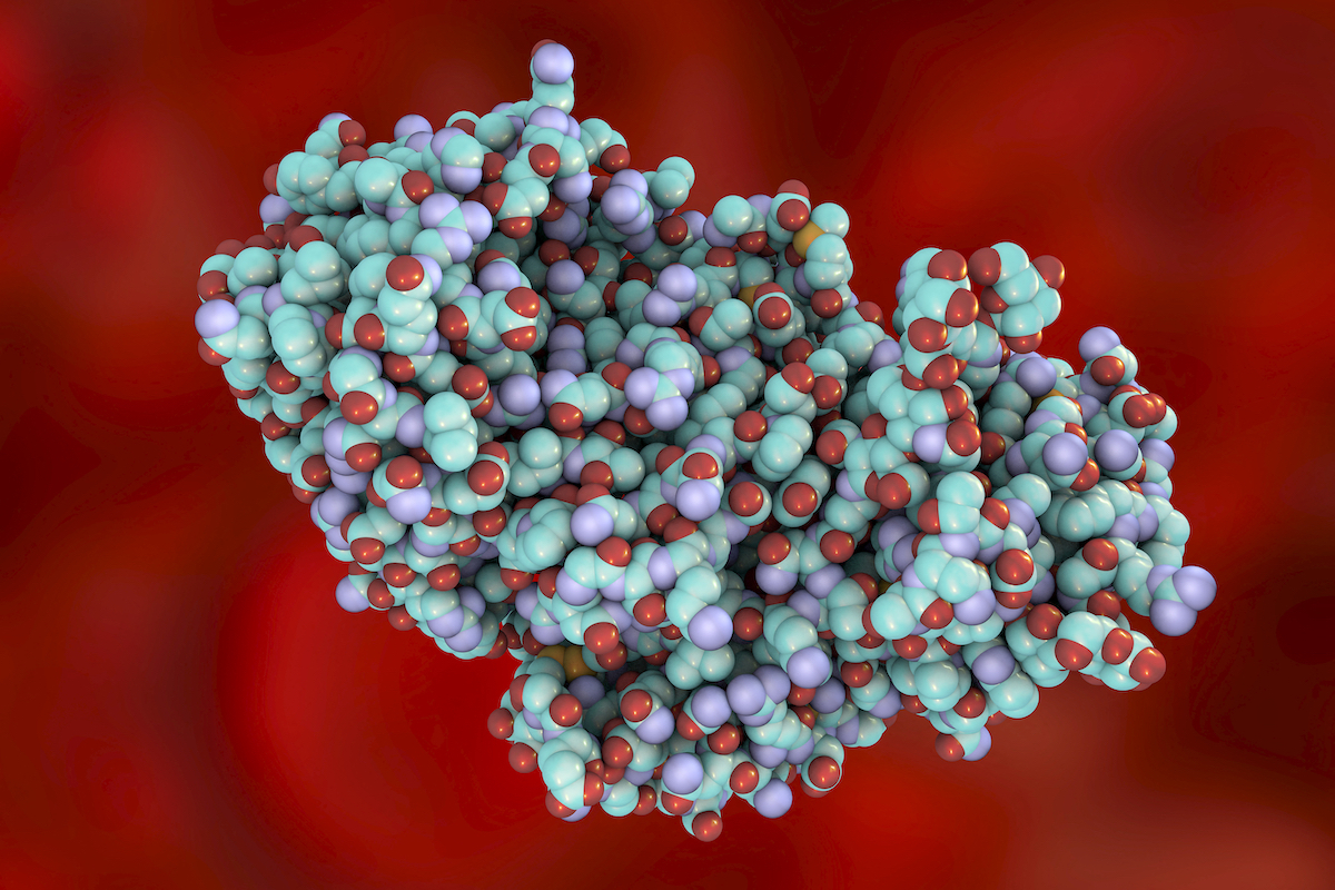 ¿Toxinas por encargo? Parece descabellado, y sin embargo... - naiz: