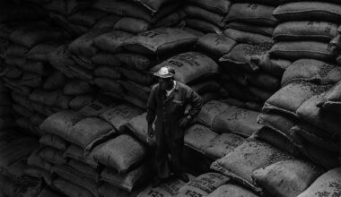 'Portuarios, 1990', Luis Otí arriba en el CDIS