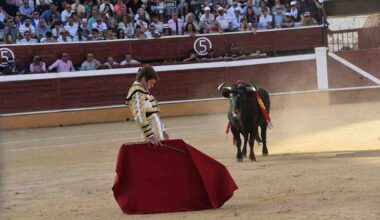 Izquierda Unida incluirá en su programa electoral la prohibición de la tauromaquia