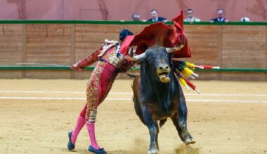 Pedro Luis, oreja en un fútil final de feria