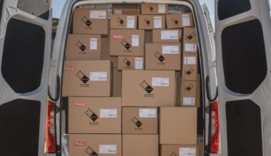 Una editorial de Alzira entrega 200 libros a las bibliotecas afectadas por la dana