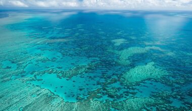Muere una mujer de 80 años tras ser abandonada por un crucero en una isla australiana