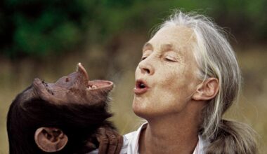 Revelan la causa de la muerte de la primatóloga Jane Goodall