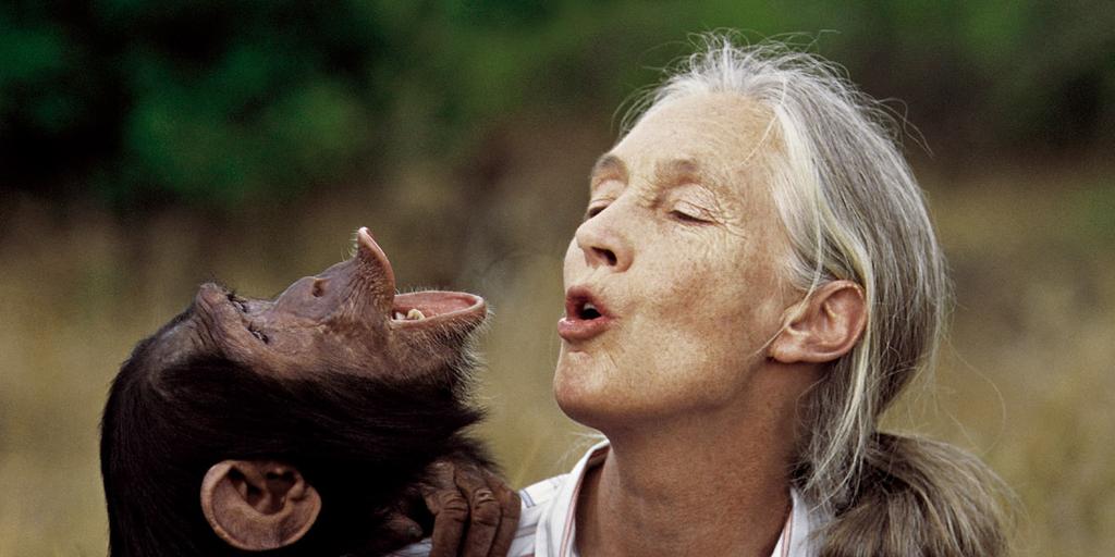 Revelan la causa de la muerte de la primatóloga Jane Goodall