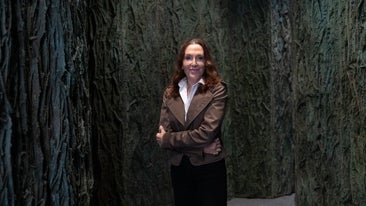 Cristina Iglesias: 'Pasajes'.