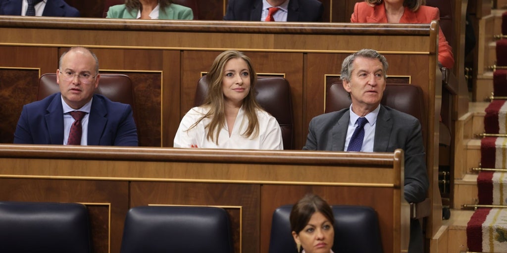 Armengol impide que un diputado del PP de luna de miel vote de forma telemática