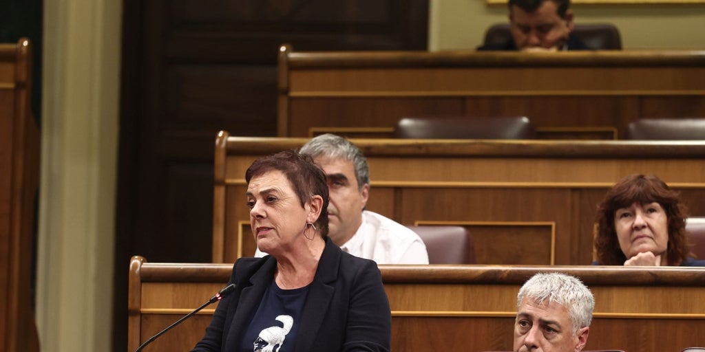 Bildu hace bandera de la memoria, Sánchez calla y el PP estalla: «¡Qué asco!»