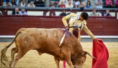 Un mexicano deslumbra en Las Ventas: es de Toluca y se llama Emiliano Osornio - El Mundo