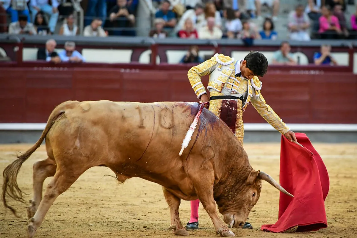 Un mexicano deslumbra en Las Ventas: es de Toluca y se llama Emiliano Osornio - El Mundo