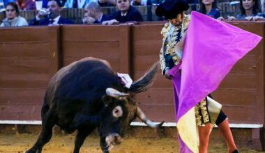 Toros para todos | La genialidad de Morante, un natural eterno