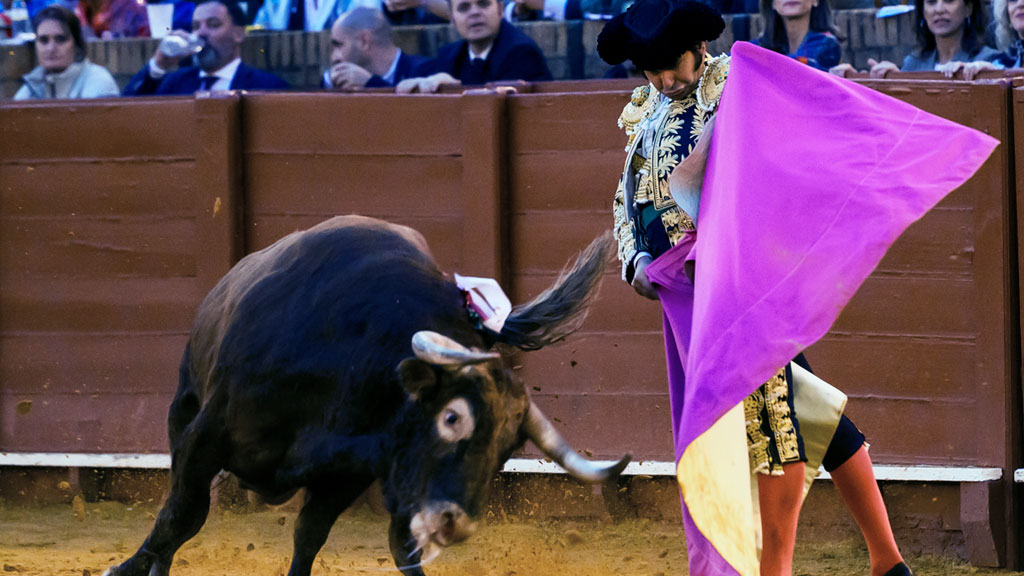 Toros para todos | La genialidad de Morante, un natural eterno