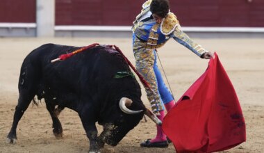El padre de José Tomás bendice el poder de la pureza de Víctor Hernández en Las Ventas - El Mundo