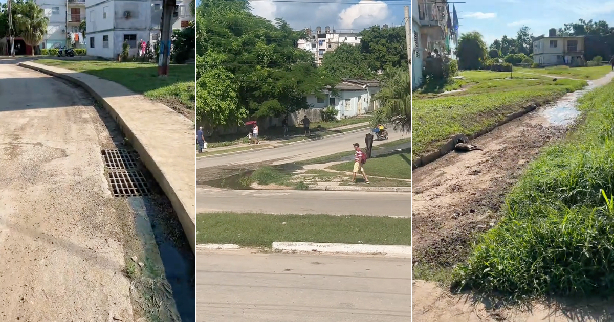 Cubana visita a sus abuelos que, casi sin salir de casa, cogieron dengue
