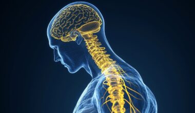 Cómo el cerebro logra que los movimientos difíciles se vuelvan automáticos