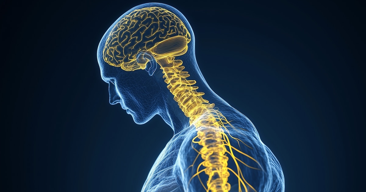 Cómo el cerebro logra que los movimientos difíciles se vuelvan automáticos