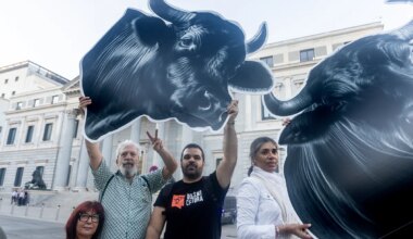 El PSOE da marcha atrás y tumba la iniciativa ciudadana para derogar la protección a la tauromaquia - El Mundo