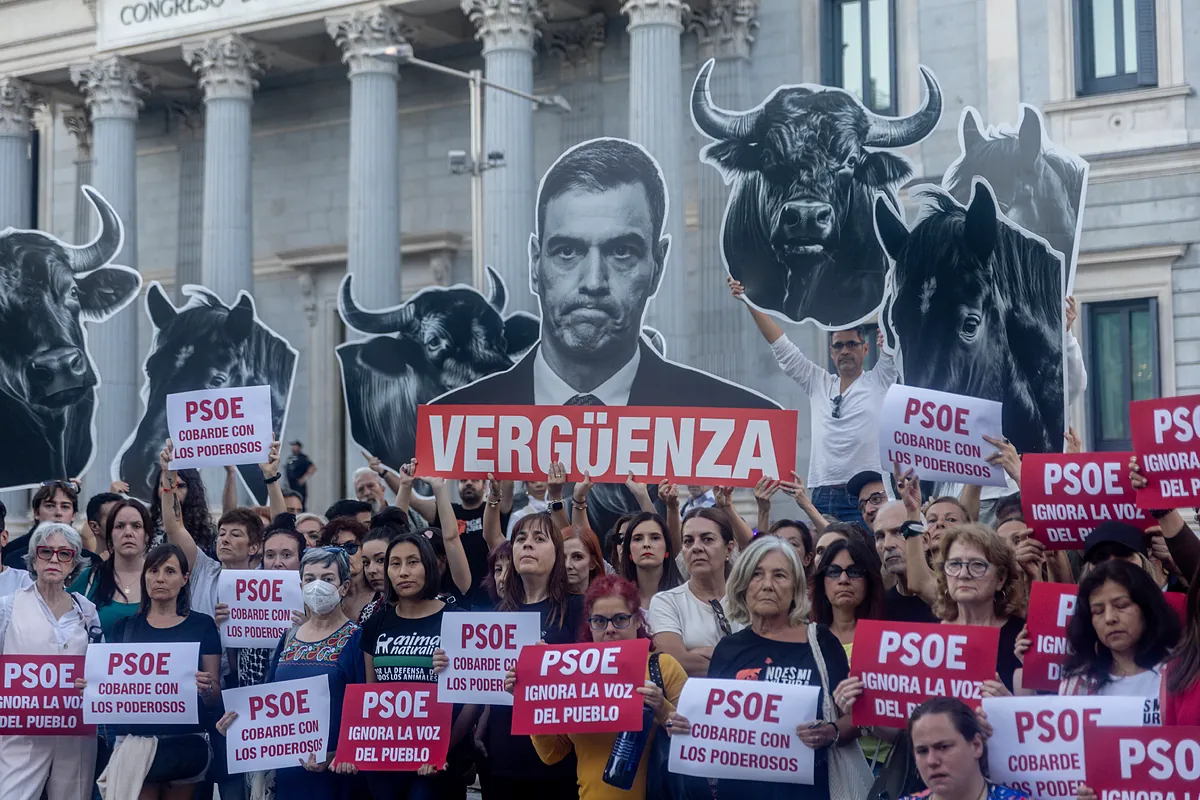Así se fraguó el volantazo del PSOE con la iniciativa antitaurina: la presión de cuatro federaciones y el "no nos vamos a pegar un tiro en el pie" de Moncloa - El Mundo